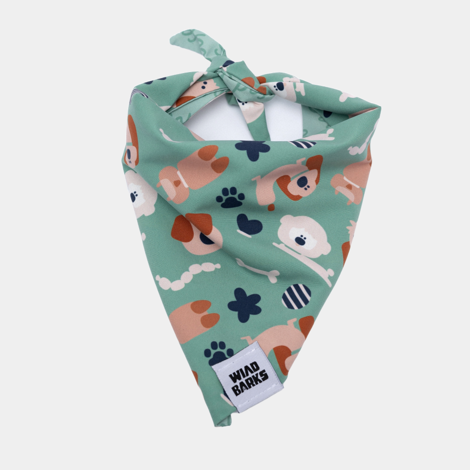 Μπαντάνα σκύλου