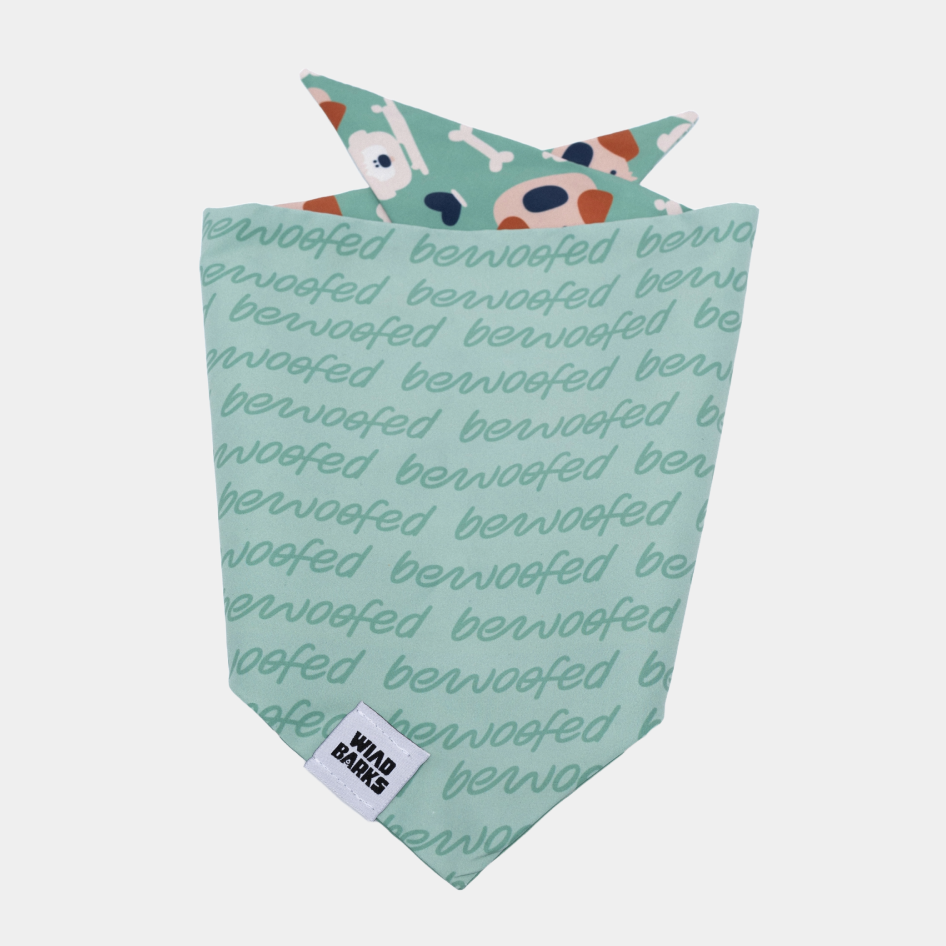 Μπαντάνα σκύλου