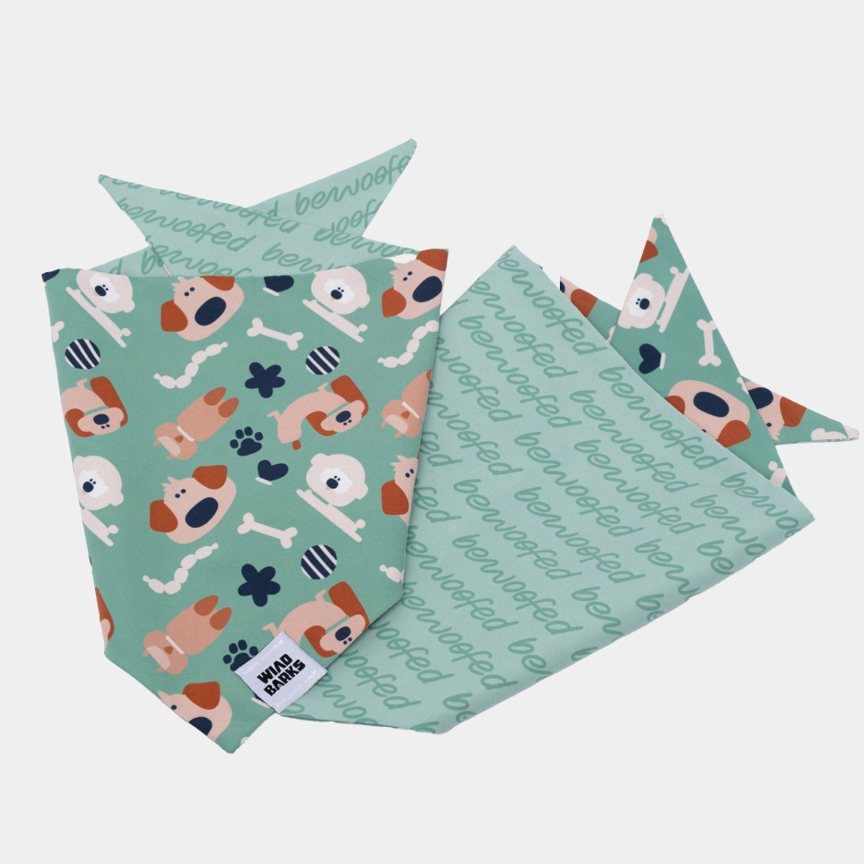 Μπαντάνα σκύλου