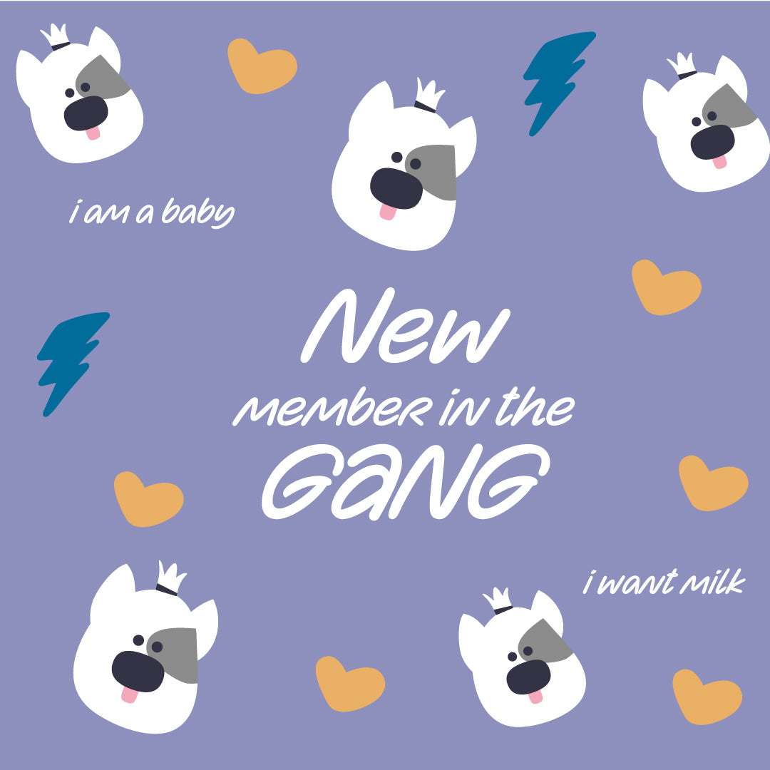 Poop Bag Holder - Figo